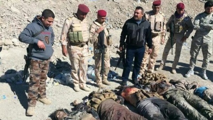 Əl-Ənbar vilayətində onlarla terrorçu məhv edilib