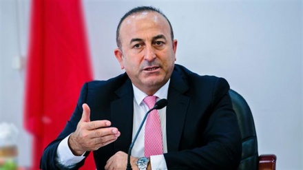 Türkiyə vətəndaşları AB-yə qoşulmaq prosesinə son qoyulmasını istəyir