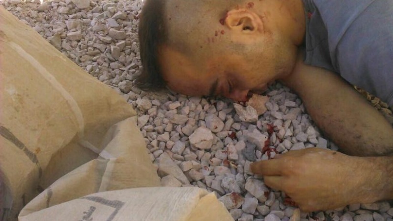 دہشت گردوں کے ہاتھوں شامی پائلٹ قتل