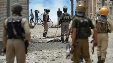 ہندوستان: جلی کٹو کے مسئلے پراحتجاج کا سلسلہ جاری