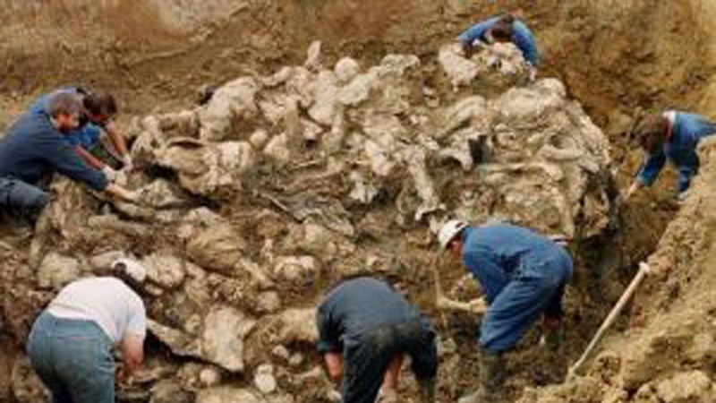  Srbija reaguje histerično na reviziju jer joj je neugodno priznati genocid 