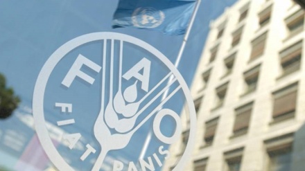İran və FAO arasında əməkdaşlıq sənədi imzalanıb