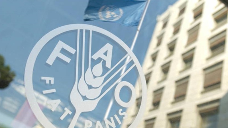 İran və FAO arasında əməkdaşlıq sənədi imzalanıb