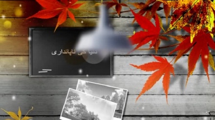 ہنر زندگی کا