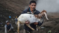 Religiozni ritual Kasada u Indoneziji