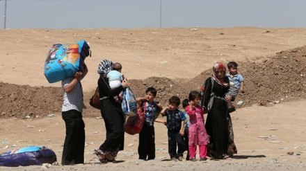 BMT Mosulda didərginlərin sayının artmasından nigarandır