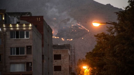 Ji ber germiya zêde agir bi daristanên Taq Bustana Kirmaşanê ket