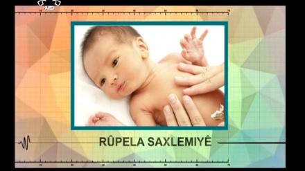 pûpela saxlemiyê