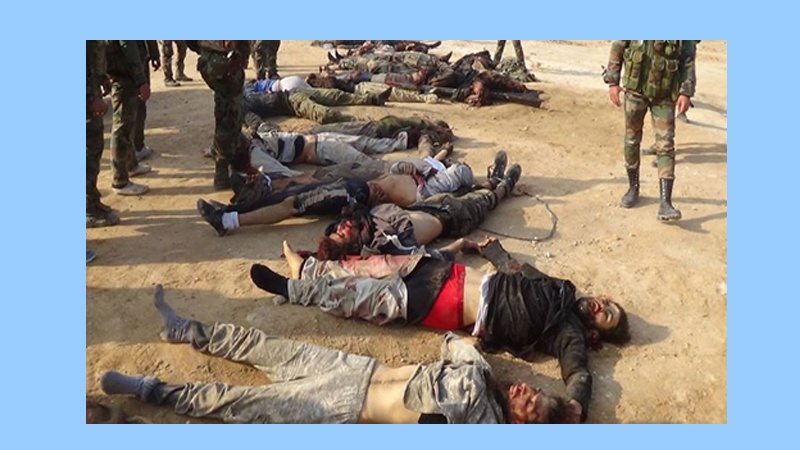 شامی فوج کے آپریشن میں درجنوں دہشت گرد ہلاک 