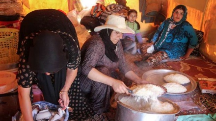 Koçberên devera Dalamper û şinoyê