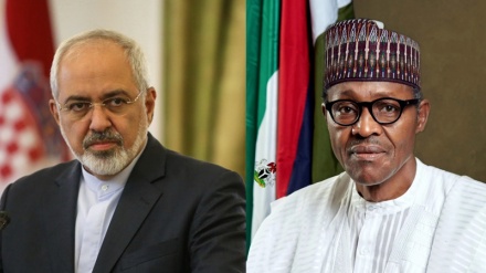 ایران کے وزیر خارجہ کی نائیجیریا کے صدر سے ملاقات 