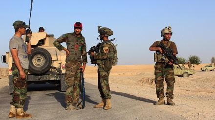 Əfqanıstanda 80-dən çox terrorist və talib məhv edilib