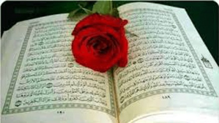 Quran müsəlman qadından nə istəyir?