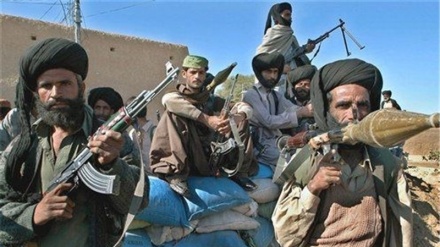 پاکستان: افغانستان کی سرحد کے قریب فوجی کارروائی میں چودہ طالبان کی ہلاکت