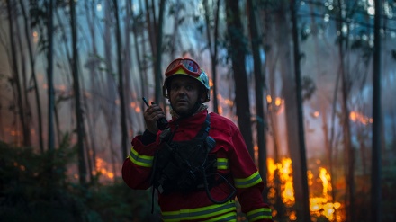 پرتگال: جنگل میں آتشزدگی، 120 ہلاک و زخمی