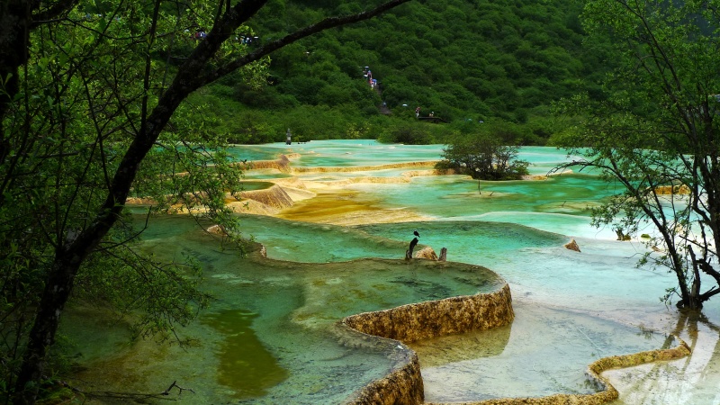 گۆڵبژێرێک لە وێنەی دیمەنە سرووشتییەکانی دەسکردی خودای دلۆڤان بەشی یەکەم