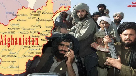   دہشت گردوں کے ساتھ طالبان کے رابطے کی تصدیق
