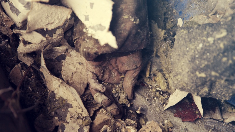 BMT Ukraynada mülki əhalinin tələfatının artmasından nigaranlığını bildirib.