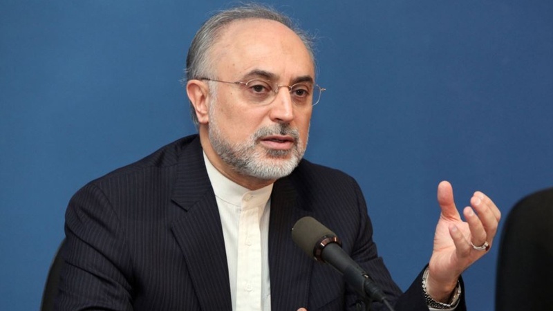اسلامی جمہوریہ ایران کے ایٹمی توانائی کے ادارے کے سربراہ ڈاکٹر علی اکبر صالحی