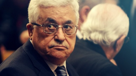 Mahmud Abbas üzr istəsin