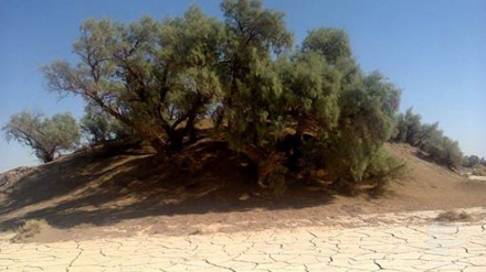 سەفەرێکی گەشتیاری بۆ ڕێگای کەلووت تا کەنداوی فارس لە باکووری ئێران 