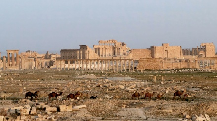 Masovna grobnica žrtava ISIL-a pronađena u sirijskoj Palmiri