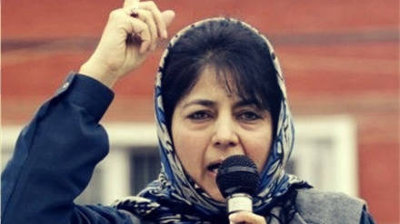 ہند و پاک میں جنگ نہیں ہوگی