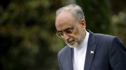 Posjet Salehija Briselu, razvoj saradnje na polju nuklearne energije