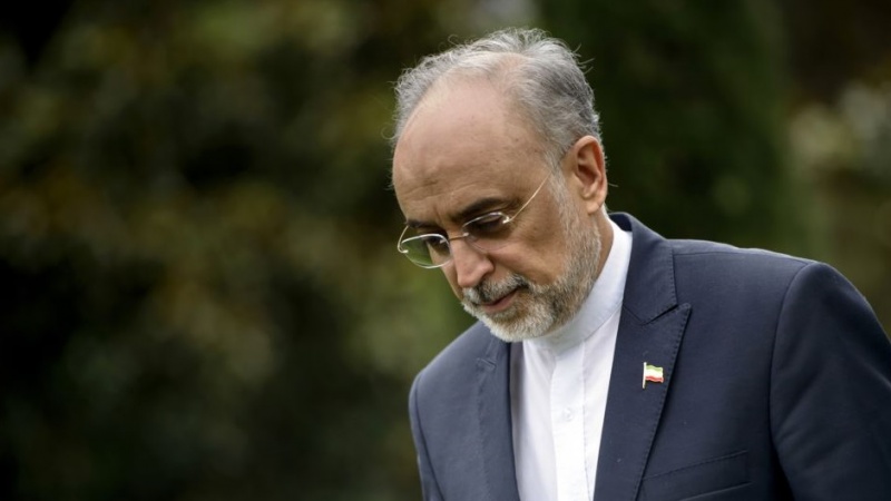 Posjet Salehija Briselu, razvoj saradnje na polju nuklearne energije