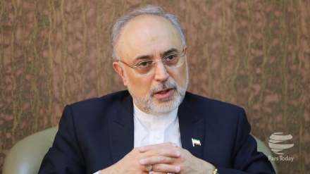 Salehi apostrofirao nužnost uklanjanja bankovnih smetnji na susretu sa britanskim ministrom finansija