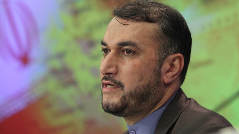 بین الاقوامی امور میں ایران کی مجلس شورائے اسلامی کے اسپیکر کے خصوصی نمائندے، حسین امیر عبداللہیان