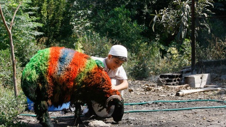 Kurban bajram u raznim zemljama