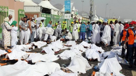 سعودی عرب نے سانحہ  منی' کی تفصیلات کو ویب سائٹ سے ڈیلیٹ کردیا 