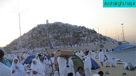 Ərəfat çölündə Həzrət Adəm (ə), Həzrət İbrahim (ə), Həzrət Rəsuli-Əkrəm (s) nə buyurmuşlar?