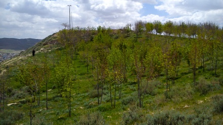 شاری مێژوویی تیکاب – ئێران