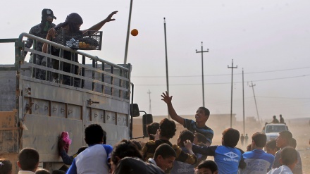 Bəşiqə sakinləri İraq qüvvələrini qəhrəman olaraq qarşıladı