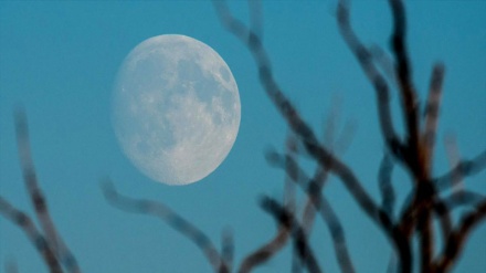 کلیپێکی سەرنجڕاکێش لە جوانیەکانی گۆی زەوی