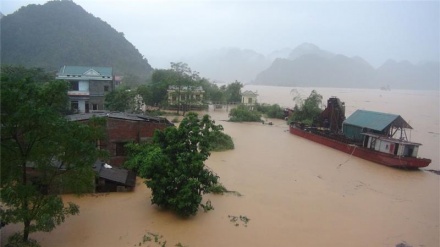 ویتنام میں سمندری طوفان 20 افراد ہلاک