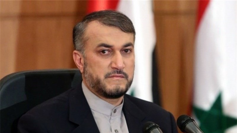 ایران استقامت کا ساتھ دیتا رہے گا: حسین امیر عبداللہیان