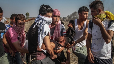 Cionistički doeljenici ranili četiri Palestinca