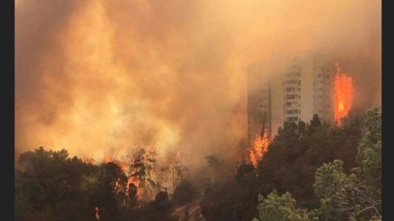 ئاور بەربوونی بەربڵاو له شارۆچەداگیرکراوه  زایۆنیست نشینەکان