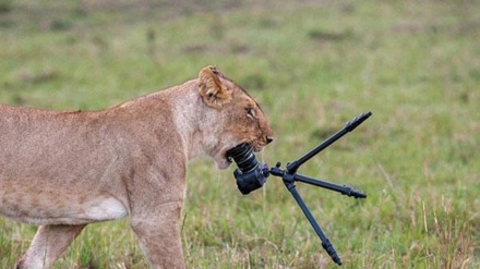 بەسەرهاتی وێنەی یادگاری لەگەڵ مردن!