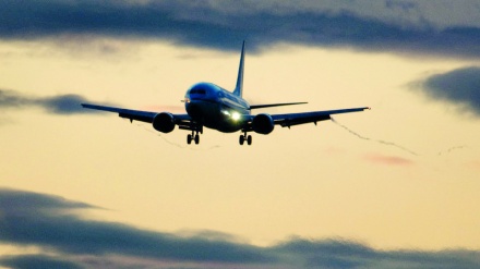 وردیاتی ڕووداوی کەوتنە خوارەوە فڕۆکەی هەڵگری یاریزانانی تۆپی پێی برازیل دەرکەوت