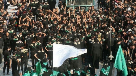 زائرین اربعین کی حفاظت کے لئے سکیورٹی  پلان پر کامیاب عملدرآمد