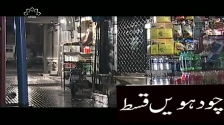ڈرامہ سیریل خوشگوار زندگی قسط نمبر 14