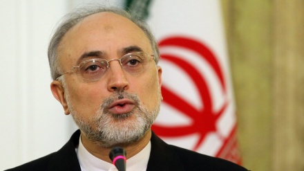 Salehi: 