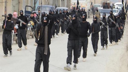 داعش کی تشکیل میں امریکہ کا کردار