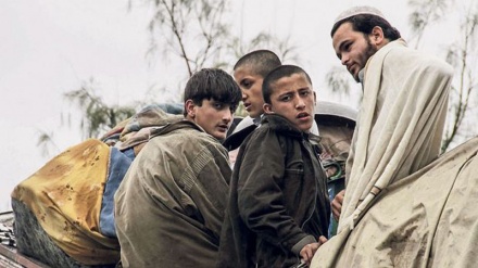 افغان پناہ گزینوں کے مسئلہ پر کابل اور اسلام آباد میں اختلافات