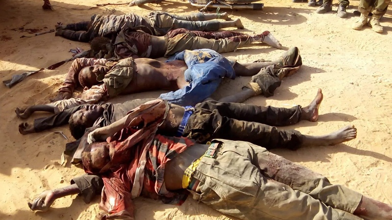 نائیجیریا میں بوکو حرام کے دسیوں دہشت گردوں کی ہلاکت
