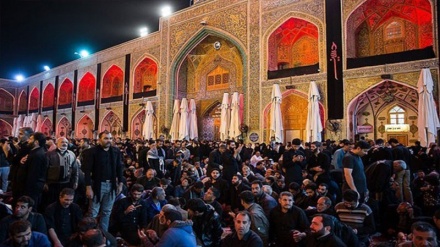 نجف اشرف میں پینتالیس لاکھ عزاداروں نے حضرت امام علی (ع) کا سوگ منایا 